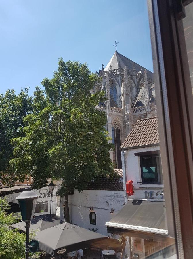 Al In Den Aap Gelogeerd? Apartman Mechelen Kültér fotó